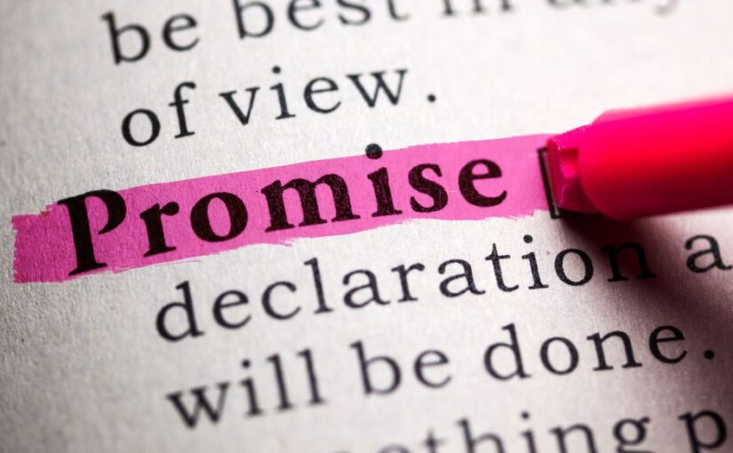 Highlighting the word promise in a dictionary with a pink highlighter